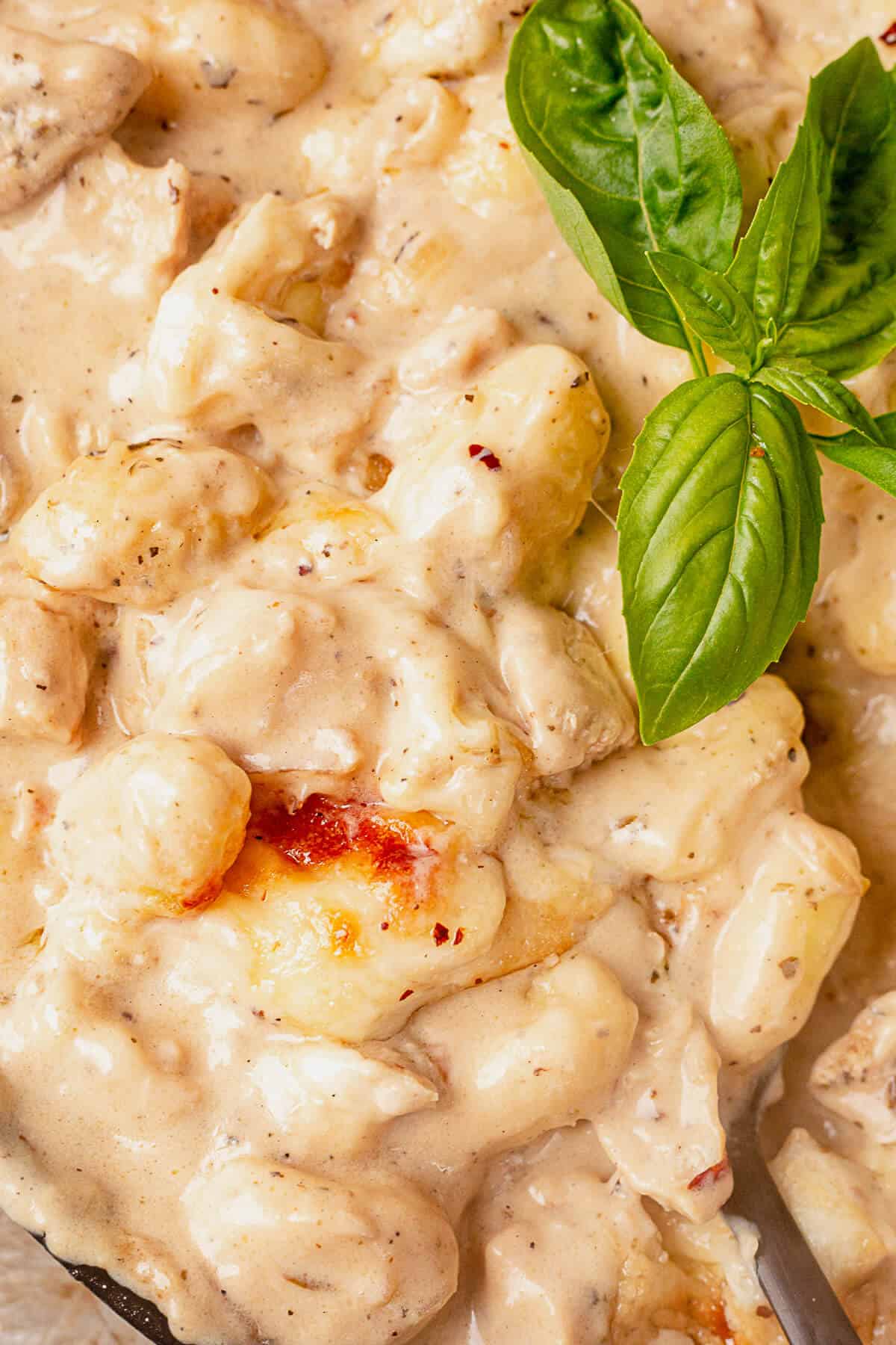 chicken and gnocchi covered in creamy alfredo