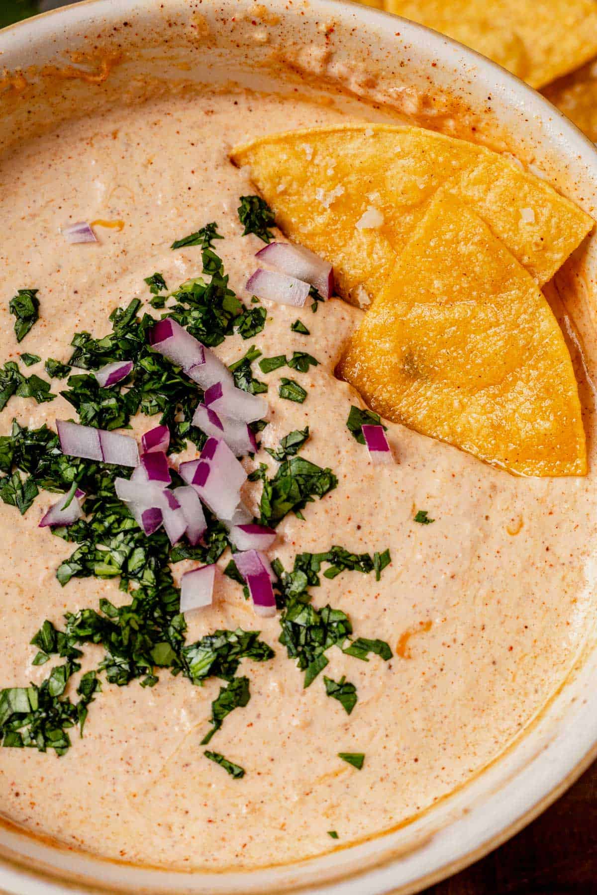 close up photo tortilla chips in a bowl of cottage cheese queso