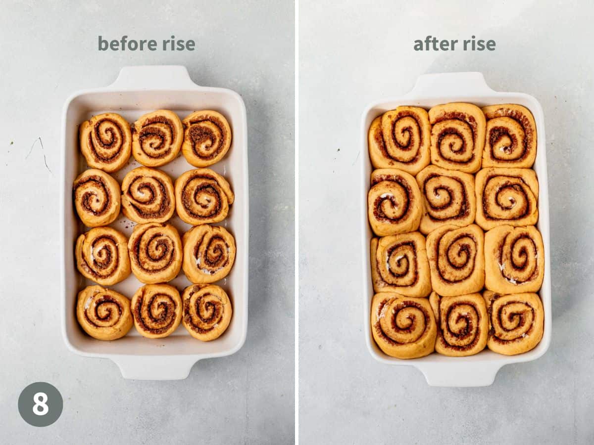 pumpkin cinnamon rolls rising in a baking dish