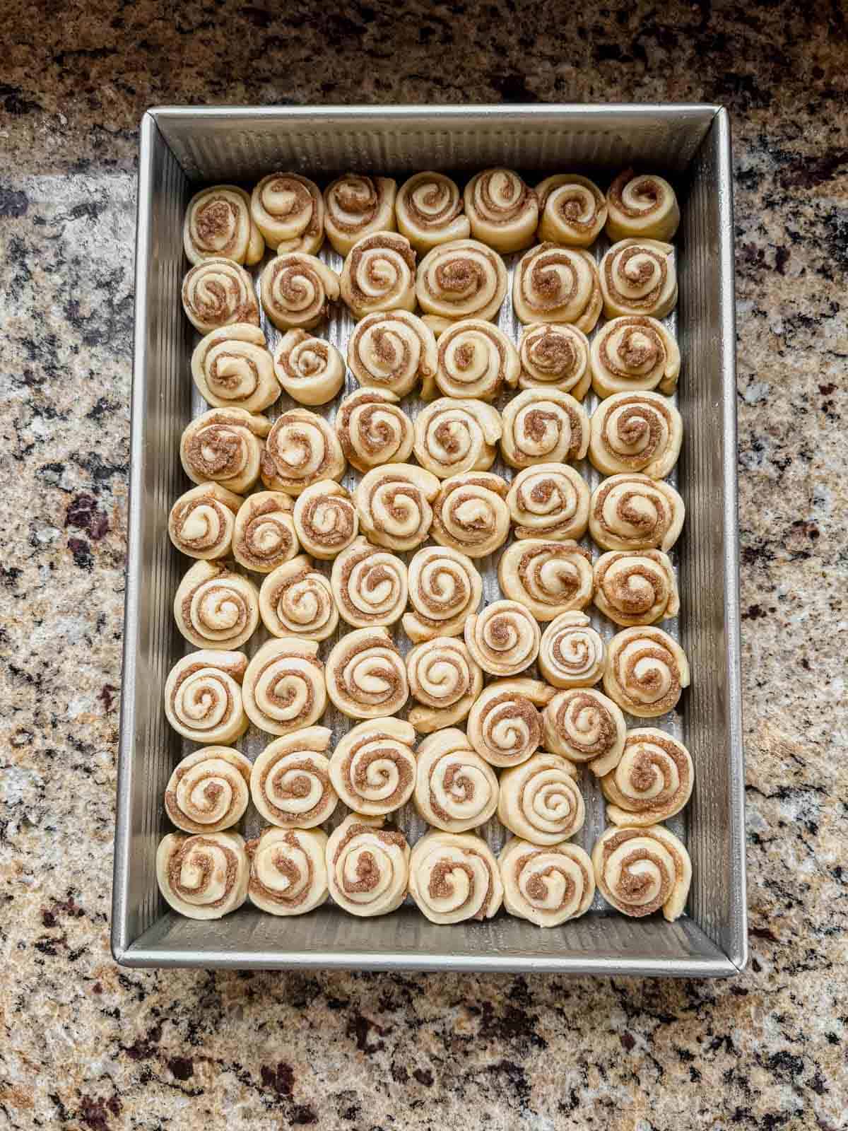 mini cinnamon rolls in a pan before proofing.