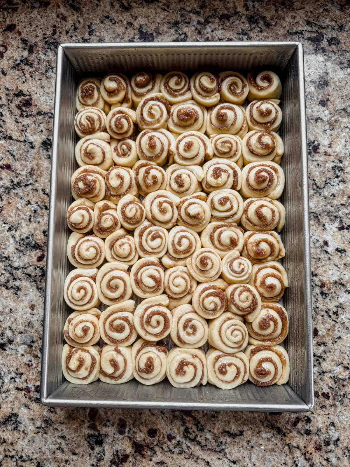 mini cinnamon rolls in a pan after proofing.